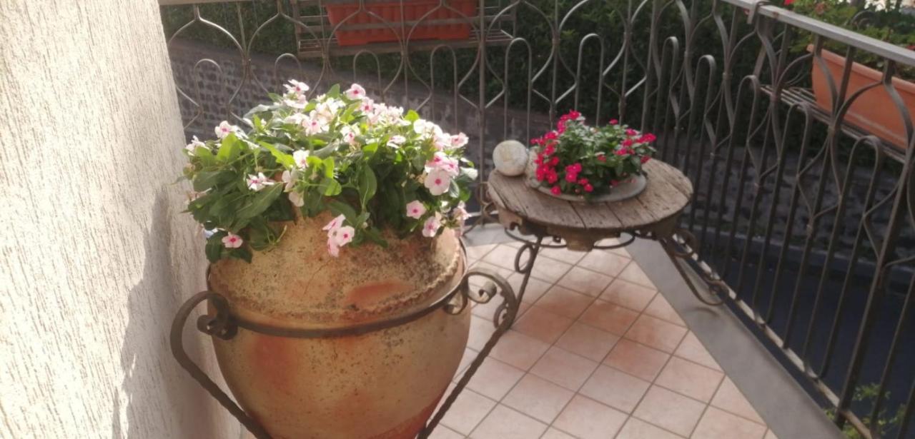 B&B La Giara Nicolosi Ngoại thất bức ảnh